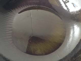 8、蓑衣黄瓜,锅中倒入适量油（我用的是菜籽油），开中火烧至冒烟后关火