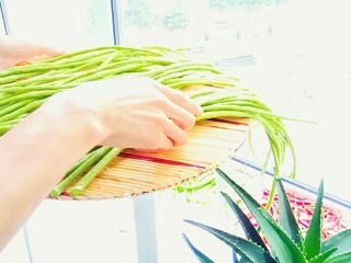 4、自制酸豆角,把豇豆摊开，把水分完全晾干。