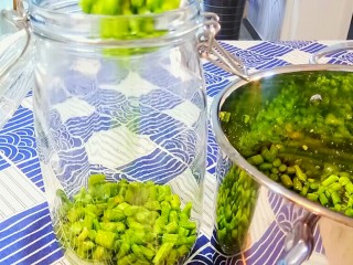 10、自制酸豆角,放进事先消过毒的密封罐里。