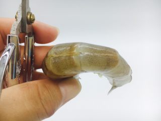4、茄汁焖大虾,用剪子开背