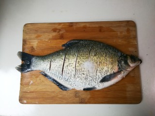 1、白酒香菜鳊鱼,鳊鱼刮去鱼鳞去掉鱼肠鱼鳃洗净,表面划切数刀,用一小勺盐里外抹匀腌制二十分钟