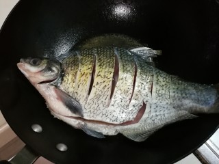 3、白酒香菜鳊鱼,热锅热油放入鳊鱼大火煎至金黄,晃动锅,鳊鱼在锅中移动再翻面煎