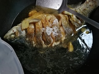 10、白酒香菜鳊鱼,放入和鳊鱼平齐的温水烧开