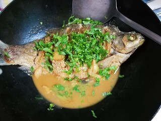 12、白酒香菜鳊鱼,撒入香菜末