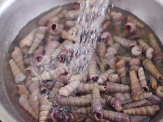 2、辣爆锥螺,把锥螺反复用自来水冲洗,我差不多冲洗了有20遍。