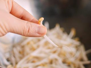 2、豆芽炒鸡肉,清洗绿豆芽，洗之前把豆芽放在水中2 - 3分钟，这样它们就会再水化。这一步不仅能漂洗豆芽，还能让它们吸收一些冷水，以恢复新鲜。
