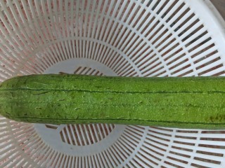 1、家常蒜苗炒丝瓜,准备一根新鲜的丝瓜
