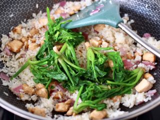 15、鸡丁核桃菠菜炒饭,加入焯好的菠菜。