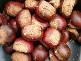 3、黑乐砂锅烤板栗,用刀在板栗头部打个十字刀