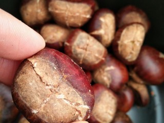 4、黑乐砂锅烤板栗,打好的十字刀如图所示