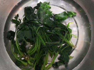 5、芙蓉鲜蔬汤,焯水的菠菜，放冷水中，过凉