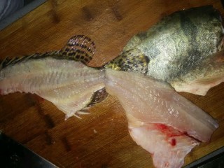 2、鸿运松鼠桂鱼,2.反面一样