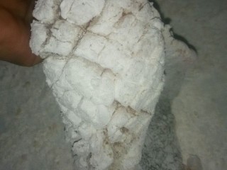 6、鸿运松鼠桂鱼,6.拍上干淀粉,缝隙里也不能放过,抖掉余粉