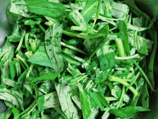 4、蒜蓉空心菜,将空心菜叶切段，单独放入盆中。