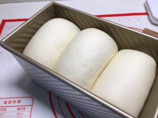 17、基础白吐司(波兰种),在烤箱中放碗热水,38度进行二发,二发至8分满