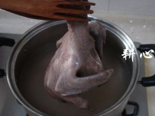 3、桂圆枸杞鸽子汤,鸽子择洗干净，焯烫一下。