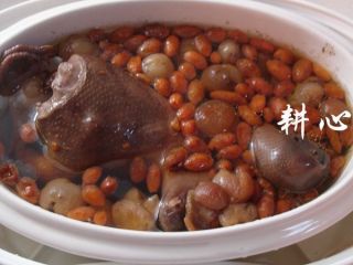 9、桂圆枸杞鸽子汤,时间到，断电，盛出享用。