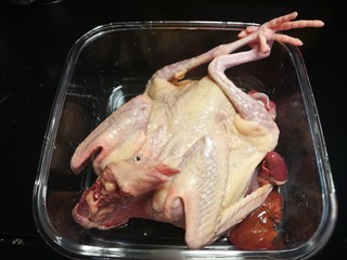 6、秋冬滋补篇:鲍鱼鸽子清补汤,鸽子泡去血水,剪去指甲。