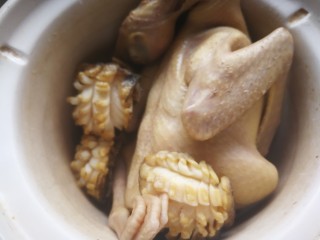 8、秋冬滋补篇:鲍鱼鸽子清补汤,鸽子和小鲍鱼放入电炖锅。电炖锅我是2升的。功率比较低,出汤还是不错的。电炖锅煮汤尺寸越小出汤口感越好,尤其1.5升口感是电炖锅最佳,煮制时间也最长。大于这个尺寸味道就很一般了。所以为省事而煲汤用电炖锅建议用小的。