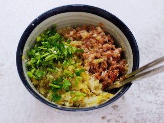6、酸菜猪肉粉嫩饺子,把切碎的酸菜和香菜放入搅拌好的肉馅里。