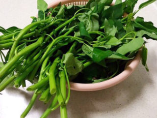 5、蒜蓉空心菜,非常新鲜的空心菜