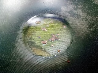 13、凉拌萝卜丝,放几粒花椒