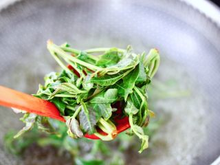 6、香椿红虾饭团,锅中倒入适量的清水烧开,把香椿芽放入锅中进行焯水,看见所有的香椿芽断生变色捞出过冷水后沥干备用。