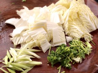2、大白菜炖粉条,大白菜洗净后切成块，蒜苗切丝，香菜切段。
