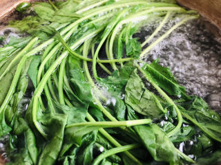 9、菠菜猪肝粥,菠菜洗净放入沸水中焯水去掉菠菜里面的草酸，烫至变软后捞出。