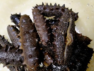 3、海参土鸡汤 大寒补气血,2-3天后海参胀大至原来的2-3倍,沿腹部小口剪开,剃净牙齿和废物,腹中的肠筋营养丰富,不要剃取,用清水洗净。