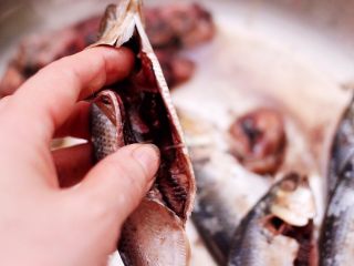 3、干炸海鲫鱼,然后把海鲫鱼肚子里的黑膜清理干净（一定要清理干净哟）