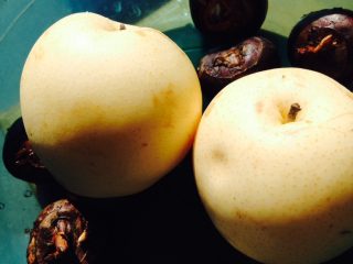 1、马蹄雪梨汤,如图准备材料