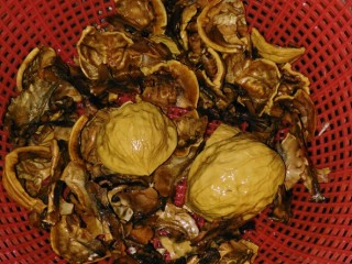 2、立夏的固肾食方:#核桃壳分心木煮鸡蛋#(创建于5/5~2017),把核桃壳和分心木洗净,滤干水。