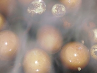 7、立夏的固肾食方:#核桃壳分心木煮鸡蛋#(创建于5/5~2017),经煮过的鸡蛋和鹌鹑蛋捞出,用勺子轻轻地敲敲蛋壳,使蛋壳敲出均匀的网裂缝,以便更好入味。