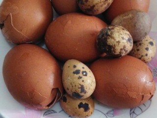 9、立夏的固肾食方:#核桃壳分心木煮鸡蛋#(创建于5/5~2017),经晾凉后的鸡蛋和鹌鹑捞出,装盘,即可,0k。
