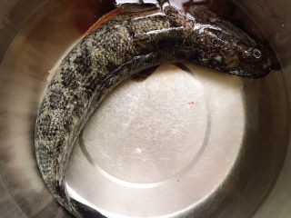 1、黑鱼豆腐汤,黑鱼去鳃去内脏，冲洗干净