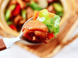 17、快手辣焖鸡块,吃上一口就停不下来了。