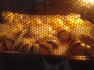 10、黑芝麻面包圈,烤箱预热，上下火，中层，170度，烤35分钟左右，