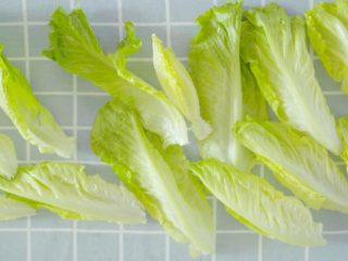 4、没胃口的时候，来一道酸溜溜酸奶沙拉,生菜掰成小瓣