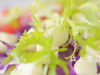 10、没胃口的时候，来一道酸溜溜酸奶沙拉,放上苦苣