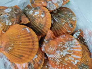 1、韭菜炒扇贝,扇贝用水冲洗一下表面污垢