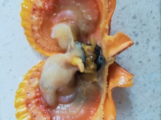 4、韭菜炒扇贝,用刀撬开扇贝壳(小心别伤手!)