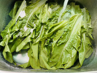 2、蚝油油麦菜,清洗干净放入水里浸泡会儿