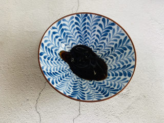 4、蚝油油麦菜,取一空碗加入蚝油