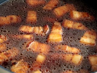 8、红烧肉炖白萝卜,加入可以没过肉的清水；