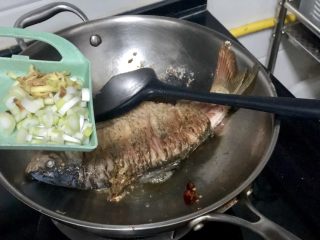 11、家常鲤鱼炖豆腐➕ 藕花风细鲤鱼肥,加入葱白姜末煸香