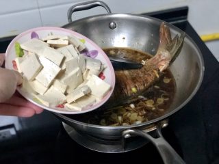 20、家常鲤鱼炖豆腐➕ 藕花风细鲤鱼肥,加入嫩豆腐