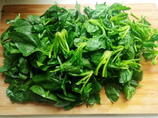 2、芝麻枸杞菠菜,菠菜清洗干净后切成寸段。