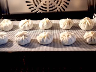 16、萝卜樱海鲜豆腐蒸饺,把包好的饺子放入蒸箱的蒸屉上,开启纯蒸模式蒸10分钟即可。