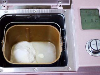 17、鲜美无比的鲅鱼饺子,面包桶里加入称重的中筋面粉和清水,再加入2克盐,启动东菱面包机的和面程序,开始和面。